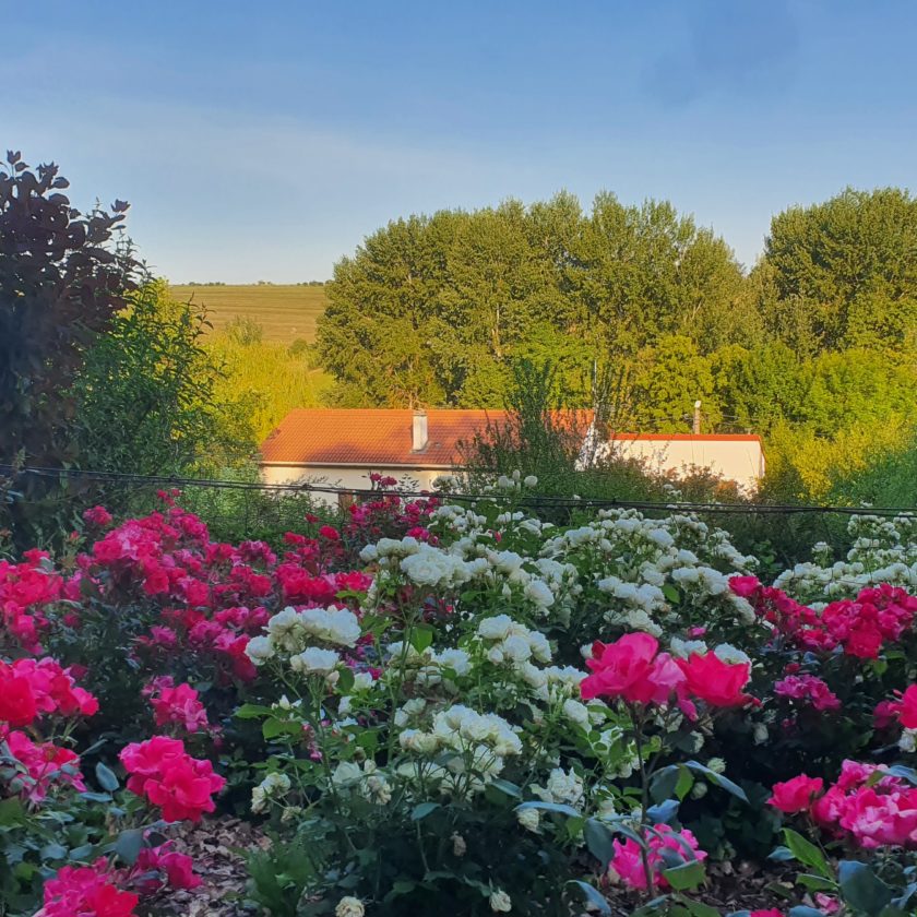 AUX TERRASSES DU MADON, LE JARDIN EST MAGNIFIQUE