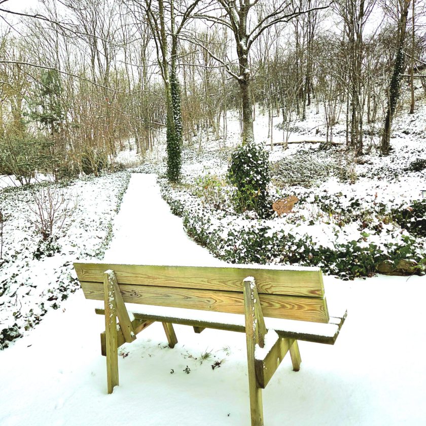 IL A NEIGE SUR LES TERRASSES…